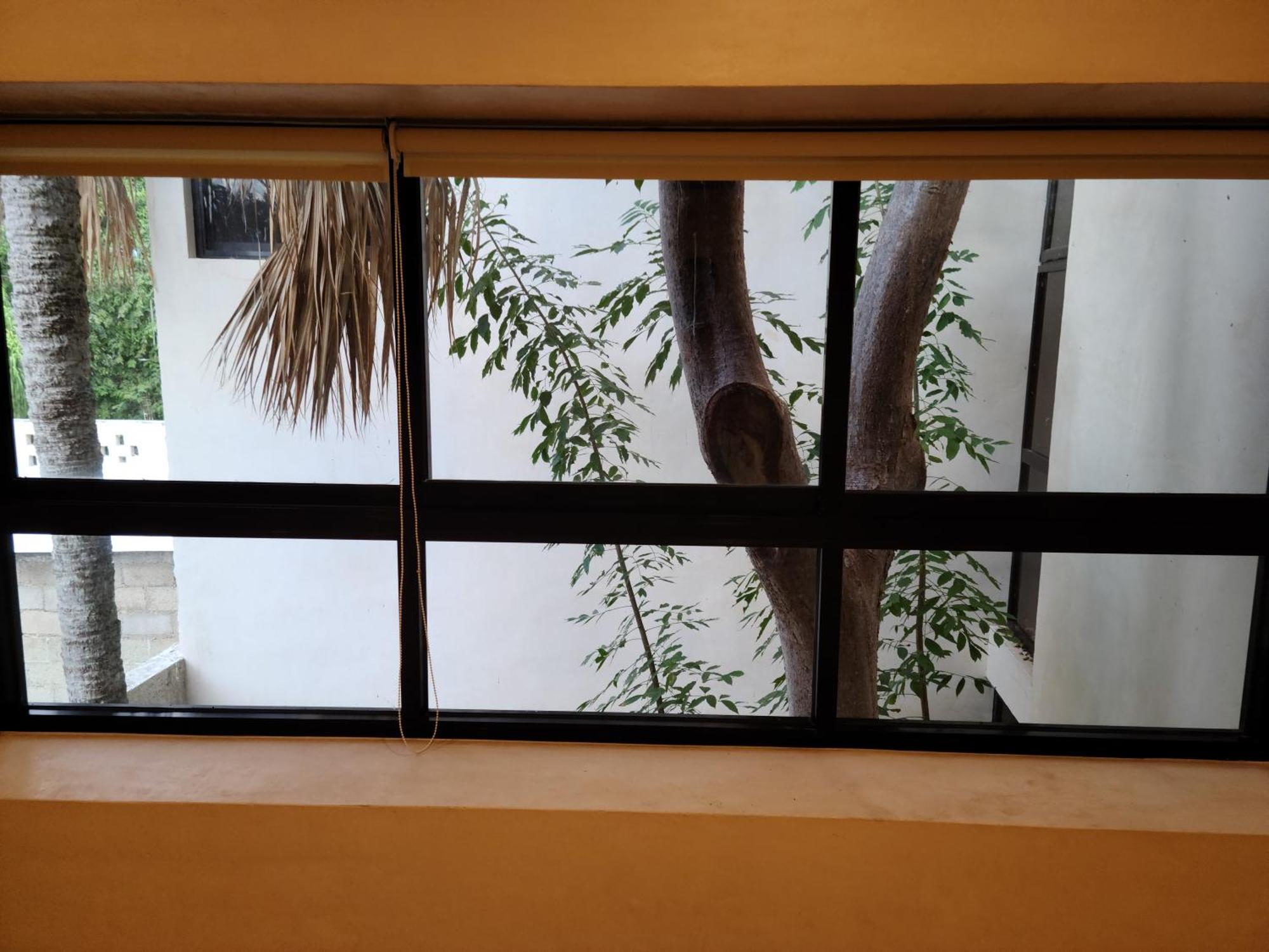 梅里达 Casa Ramona酒店 外观 照片
